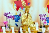 贊助對花１對